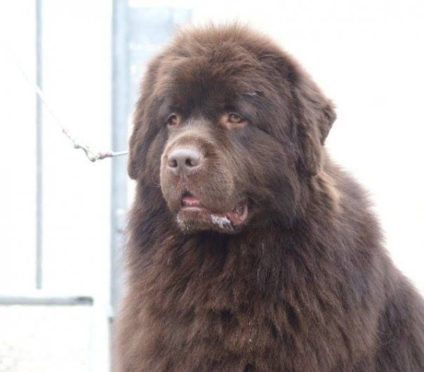 Blue wave du pays sous les vagues